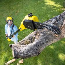 Best Seasonal Cleanup (Spring/Fall)  in Lakeside, OR
